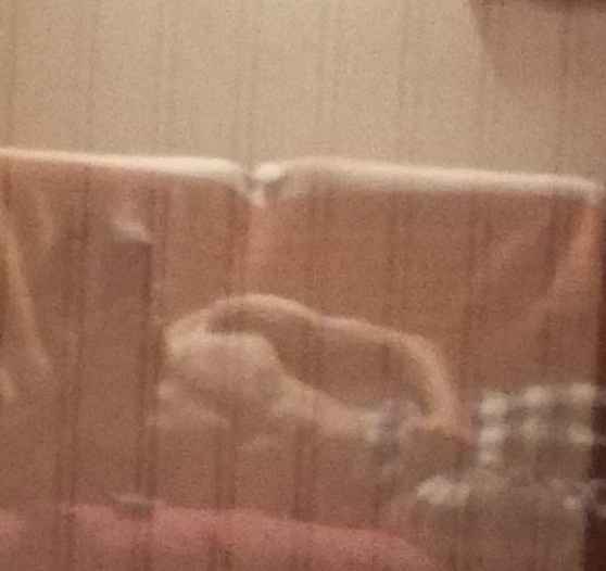 Profil de Hamed, 22 ans, Escort Trans Canada à Milo