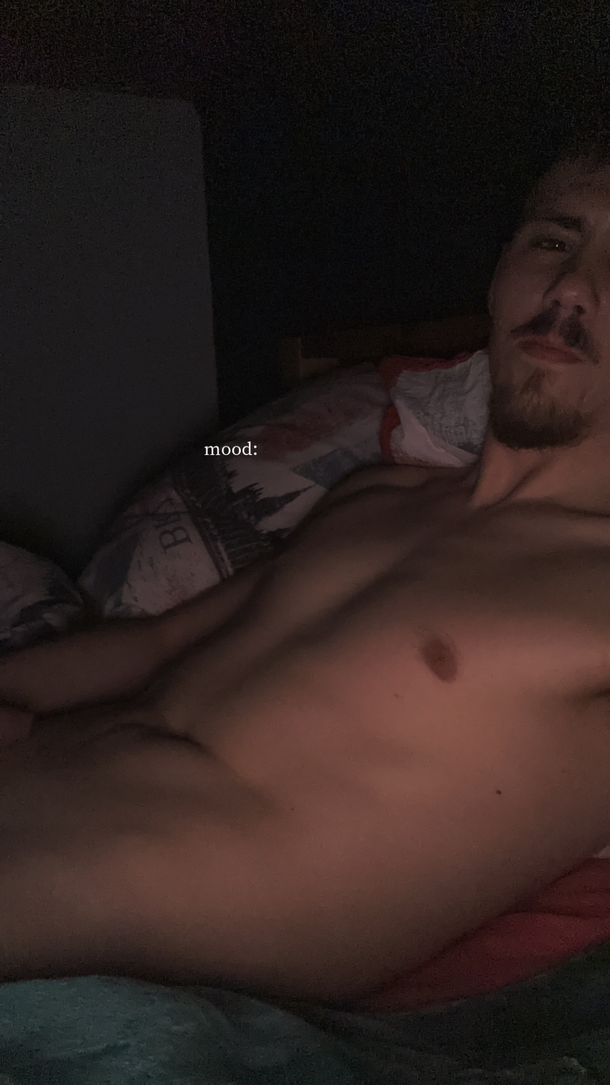 Profil de Leoni, 24 ans, Escort Trans Canada à Erin