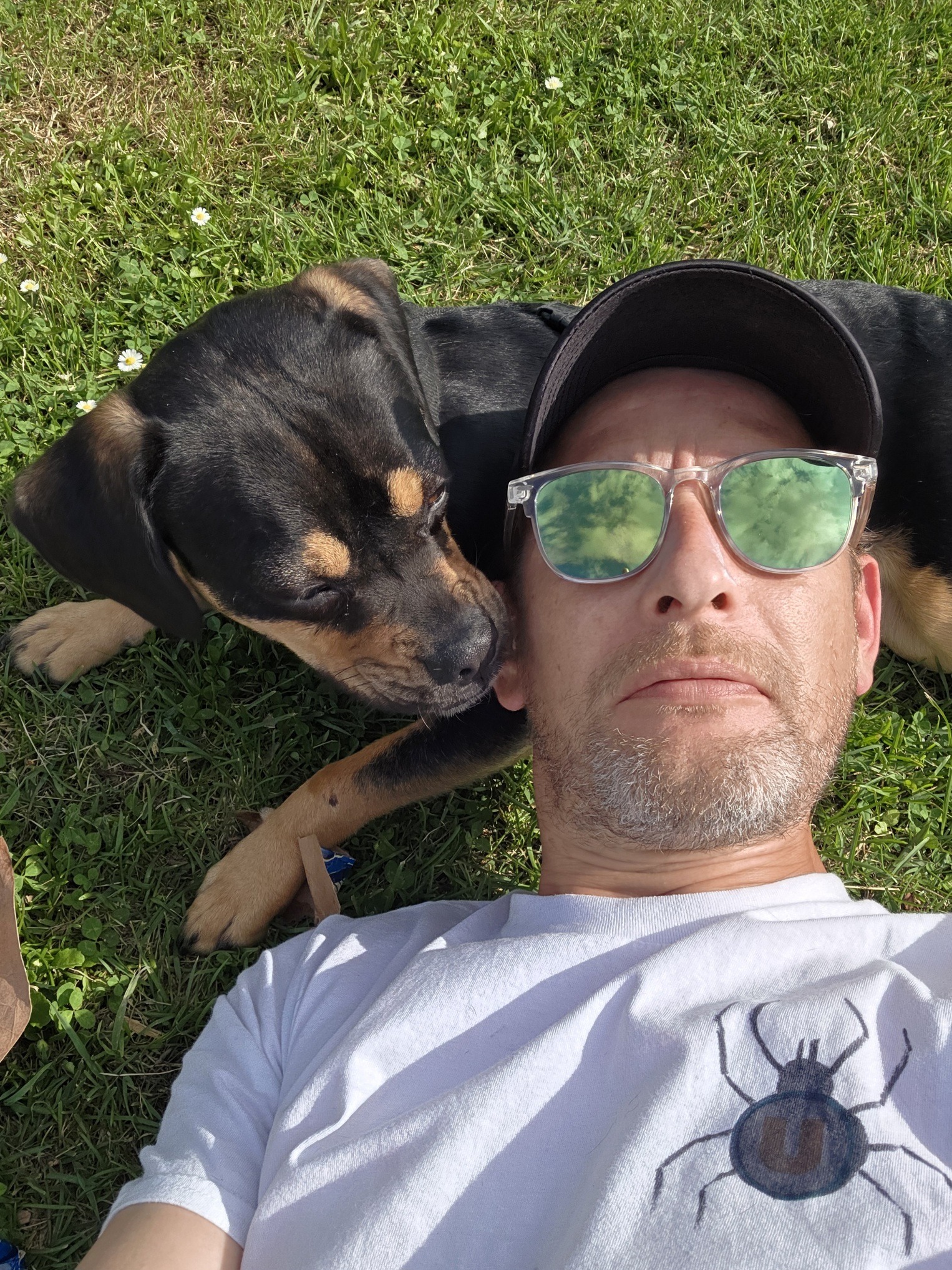 Profil de Gwilherm, 41 ans, Escort Trans Canada à Grimshaw